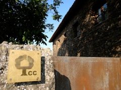 Casa dos Pinelas - Turismo Rural CC
